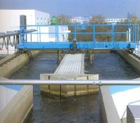 ��ʽ��ɰ�C